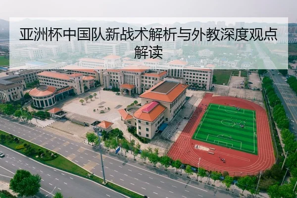 亚洲杯中国队新战术解析与外教深度观点解读